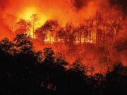 EU-samarbete hjälper Grekland bekämpa skogsbränder EU-samarbete Skogsbrand i greklans
