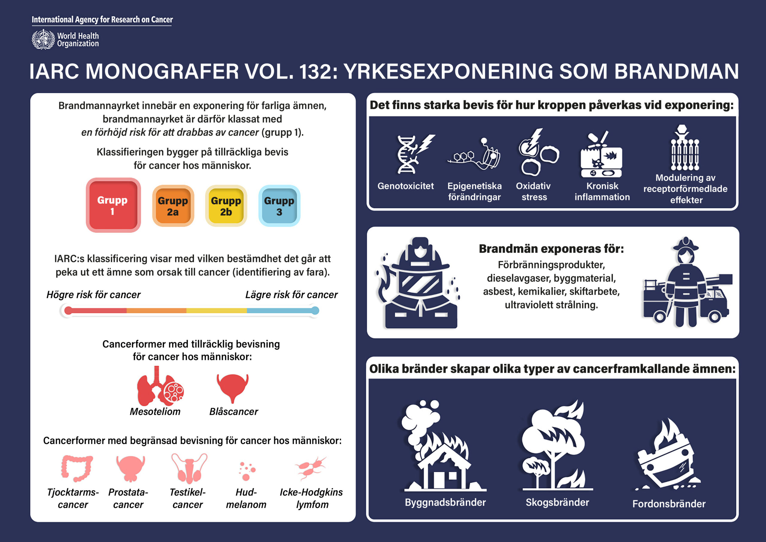 IARC brandmannacancer