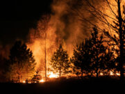 Räddningstjänsten kan inte vänta – Sverige måste rusta nu! Skogsbrandssäsong, Sverige måste rusta för fler stora händelser samtidigt