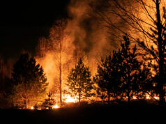 Räddningstjänsten kan inte vänta – Sverige måste rusta nu! Skogsbrandssäsong, Sverige måste rusta för fler stora händelser samtidigt